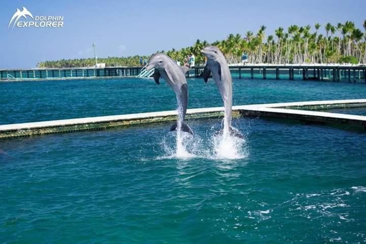 Punta Cana Sol Caribe Beach Pool Exteriör bild